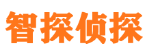 回民侦探